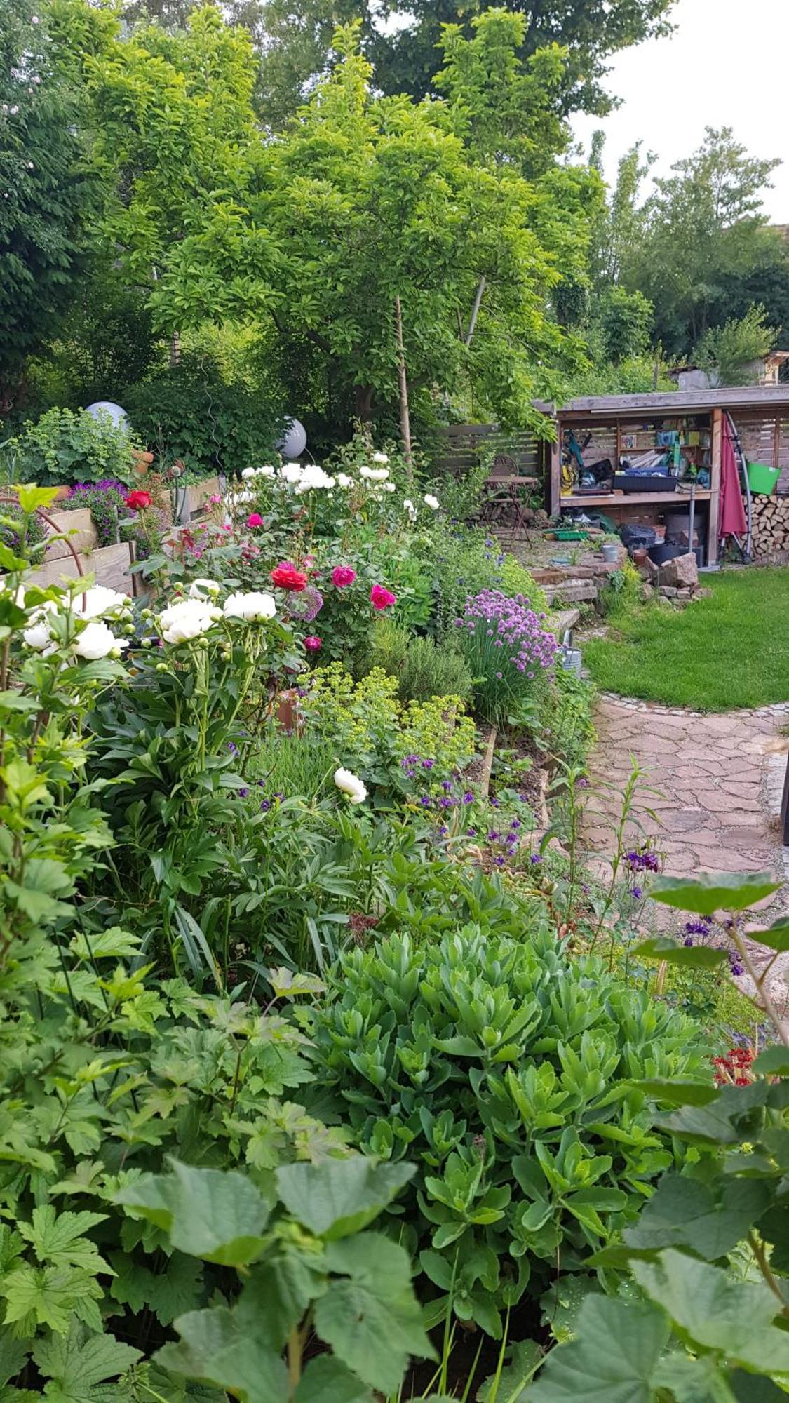 Wohnung Mit Sauna, Garten & Schwimmteich Бітігайм-Біссінген Екстер'єр фото