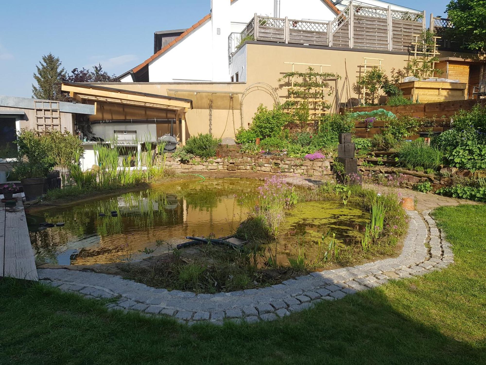 Wohnung Mit Sauna, Garten & Schwimmteich Бітігайм-Біссінген Екстер'єр фото
