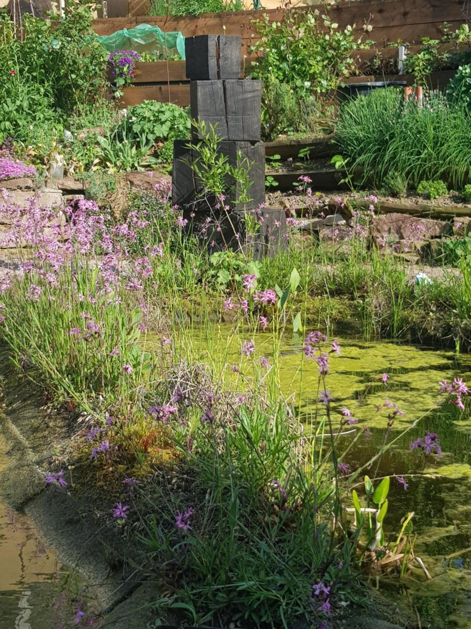 Wohnung Mit Sauna, Garten & Schwimmteich Бітігайм-Біссінген Екстер'єр фото